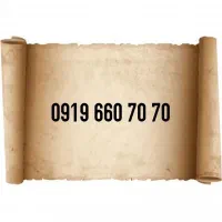 0919.660.70.70