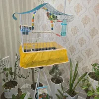 قفس و پایه قفس مدرن مناسب دکور خانه و پرنده