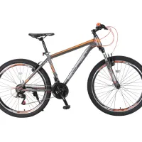 عرضه انواع دوچرخه اصل در تمامی سایز ها|دوچرخه، اسکیت، اسکوتر|الیگودرز, |دیوار