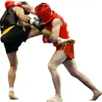 آکادمی رزمی کاران پارسی