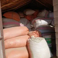 فروش کاه سفید گندم ،تمیز ،شلیف نو گرفته