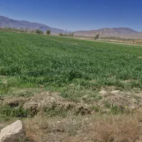 زمین کشاورزی با آب