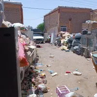 ضایعات همه رقم