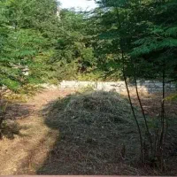علف تراشی با دستگاه