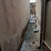 سویت راه جدا فلکه گاز کوچه دلاور دانشجویی۷۰ماهی ۷|اجارهٔ خانه و ویلا|رشت, نظری|دیوار