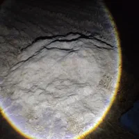 کاه جو درجه یک