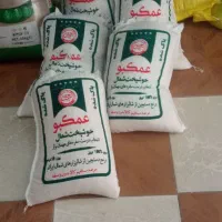 حبوبات برنج چمپا وشمال به قیمت عمده|خوردنی و آشامیدنی|شاهین‌شهر, شهرک گلدیس|دیوار