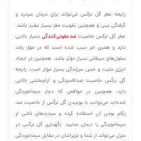 گل نرگس|گل و گیاه طبیعی|کلاچای, |دیوار