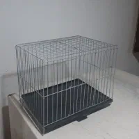 قفس کوچک سهره رام کنی