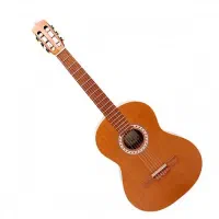 گیتار پارسی