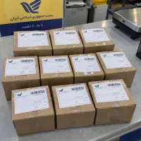 چاقی تضمینی گیاهی