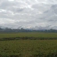 ۱هکتار شالیزارسنددار بررودخانه سنگررشت|فروش زمین و ملک کلنگی|سنگر, |دیوار