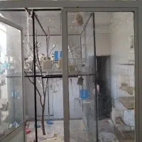 فروش کلیه وسایل سالن تکثیر فنچ و پرنده ها همه یکجا|پرنده|اصفهان, شهشهان|دیوار