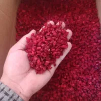 زرشک پفکی درجه یک