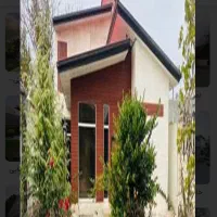 باغ-پسته-در-طرح-هادی