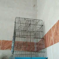 قفس صنعتی