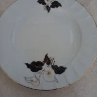 ۶عددبرنج خوری خورش خوری وپیش دستی ودیس