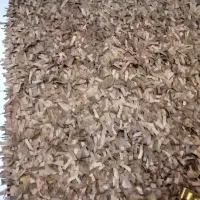 قالیچه چرم