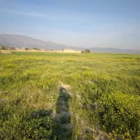 اجاره-2هکتار-زمین-کشاورزی-کشت-گوجه-سیاخ-دارنگون