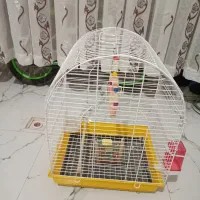 قفس پرنده