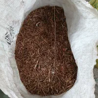 چمبه کشمش خوراک دام