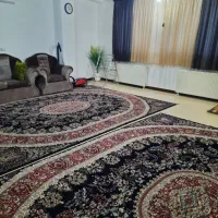۲عددقالی ۱۲متری