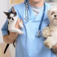 استخدام تکنسین دامپزشکی