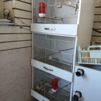 قفس پرنده|لوازم جانبی حیوانات|کرمانشاه, |دیوار