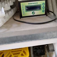 جوجه کشی آسان با دستگاه 168عددی ایران چیک|لوازم جانبی حیوانات|بندر انزلی, چهارفریضه|دیوار