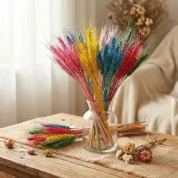 فروش ویژه خوشه‌های گندم رنگی و ساده (تک و عمده)