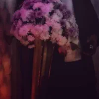 مهماندار  اقا هستم. جویای کار تشریفات