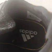 اصله سایز۴۲|کیف، کفش، کمربند|شیراز, شریفآباد|دیوار