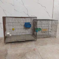 قفس