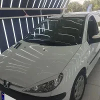 206درحد تک برگ سند