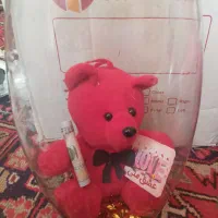 خرس داخل گوی