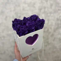 گل رز روبانی