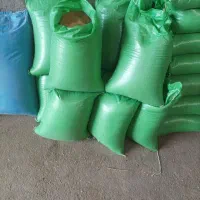 فروش بذر یونجه