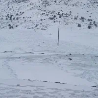 زمین شاپورجان کوچه ۴ شهدا(زمین های کیانی)