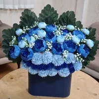 برای کسی خریدمش که قستمت نشدببرم براش