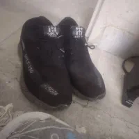 کتونی تاناکورا مفت