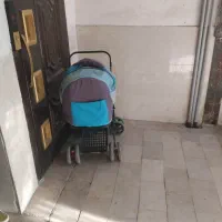 همه باهم6500