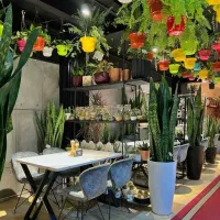 به قیمت تولیدی وشرایطی|گل و گیاه طبیعی|یزد, |دیوار