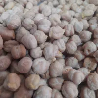 پخش عمده و جزیی انواع حبوبات با کیفیت بالا|عمدهفروشی|رشت, لاکان|دیوار