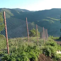 زمین زراعی بره سر (طالکوه)با اجازه ساخت ویلا|فروش دفتر صنعتی، کشاورزی، تجاری|برهسر, |دیوار