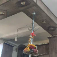 مسکن مهر شرف آباد، تک بلوک