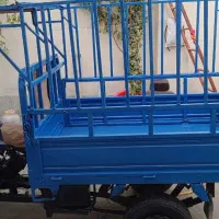 سه چرخه|موتورسیکلت|میاندوآب, |دیوار