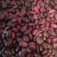 لوبیا‌بدون‌آشغال‌