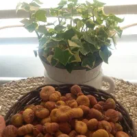 انجیرخشک امسالی