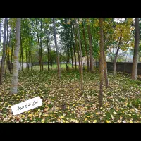 فروش زمین ۲۰۰ متری در کلاردشت|فروش زمین و ملک کلنگی|کلاردشت, |دیوار