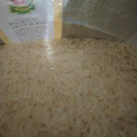 برنج هندی طبیعت